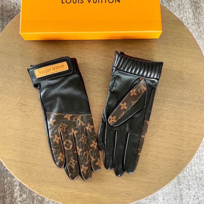 Louis Vuitton Gloves